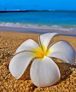 Beach Flowers paint by numbers