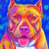 Colorful Pitbull Dog Paint By Numbers