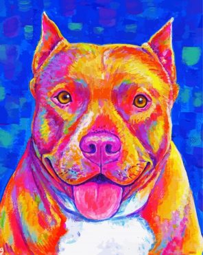 Colorful Pitbull Dog Paint By Numbers