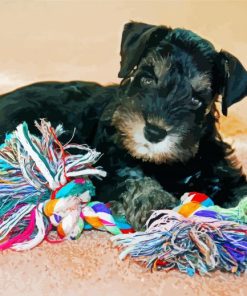 Cute Schnauzer Puppy Paint By Numbers