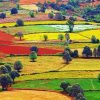 Colorful Countryside Paint By Numbers