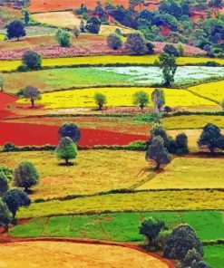 Colorful Countryside Paint By Numbers