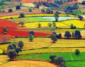 Colorful Countryside Paint By Numbers