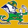 Fighting Irish paint by numbers