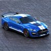 Ford Shelby Car Paint by Numbers