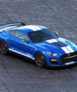 Ford Shelby Car Paint by Numbers