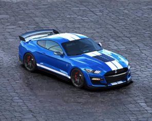 Ford Shelby Car Paint by Numbers