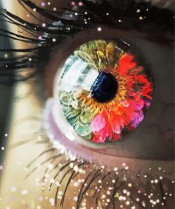 Girl Eye Flower paint by numbers