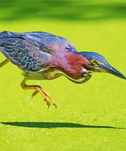 Aesthetic Green Heron Paint By Numbers