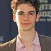 Handsome Cameron Boyce paint by numbers