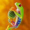 Stylish Frog Paint By Numbers