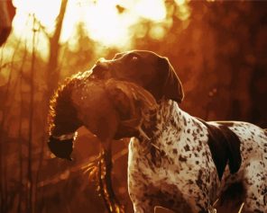 Hunting Hound Paint By Numbers