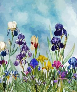 Iris Field Paint By Numbers