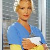 Katherine Heigl Paint by Numbers