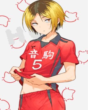 Kenma Kozume Paint By Numbers