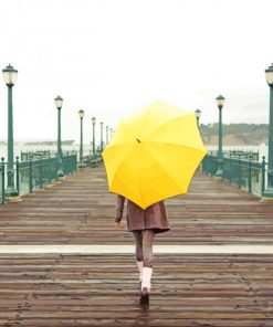 Lady With Umbrella paint by numbers