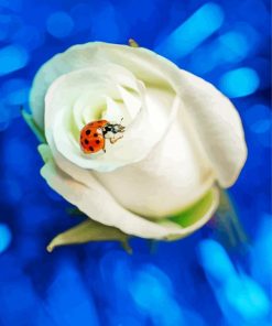 Ladybug With Rose Paint By Numbers