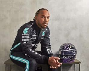 Race Driver Lewis paint by numbers