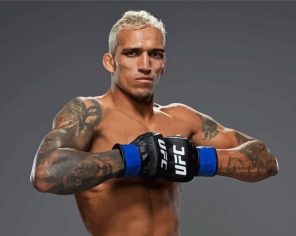 Charles Oliveira paint by numbers