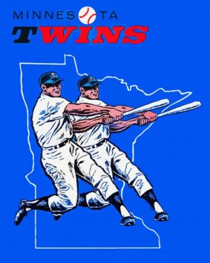 Minnesota Twins Paint By Numbers