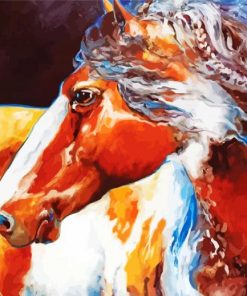 Native American Horse paint by numbers