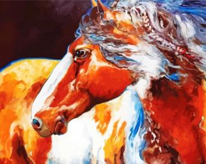 Native American Horse paint by numbers