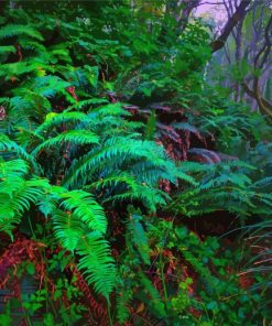 Nature Ferns Paint By Numbers