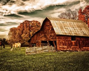 Barn And Horses Paint By Numbers