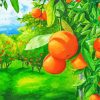 Orange Grove Art Paint By Numbers