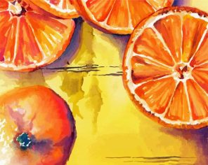 Orange Slice Art paint by numbers