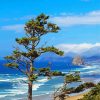 Oregon Coast Panoramic View paint by numbers