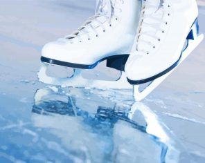 Skates On Ice paint by numbers