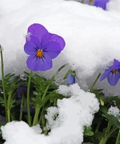 Purple Flowers In Snow Paint by Numbers