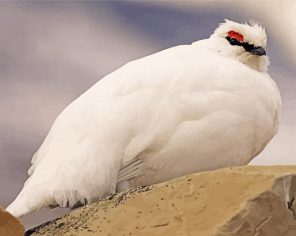 White Ptarmigan Paint by Numbers