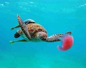 Sea Turtle Swimming Paint By Numbers