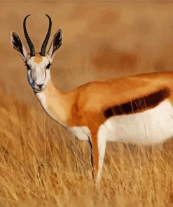 South African Springbok paint by numbers