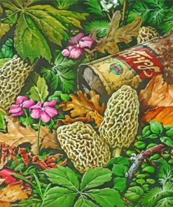 True Morels Mushrooms Paint By Numbers