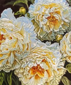 White Peonies paint by numbers