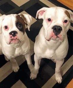 White Boxer Puppies paint by numbers