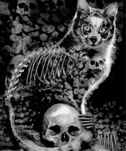 Skull And Cat paint by numbers