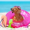 Aesthetic Dachshund On Beach paint by numbers