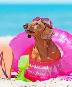 Aesthetic Dachshund On Beach paint by numbers