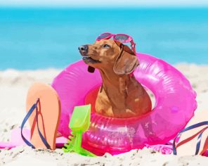 Aesthetic Dachshund On Beach paint by numbers