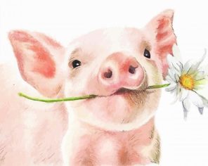 Daisy And Pig paint by numbers
