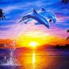 Dolphins At sunset Paint By Numbers