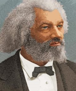 Frederick Douglass paint by numbers