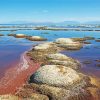 Great Salt Lake paint by numbers