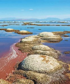 Great Salt Lake paint by numbers