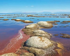 Great Salt Lake paint by numbers