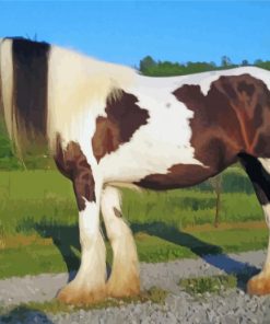 Aesthetic Gypsy Vanner paint by numbers